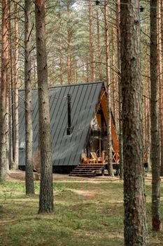 A-frame cabin nestled among serene pine trees in a peaceful forest clearing.