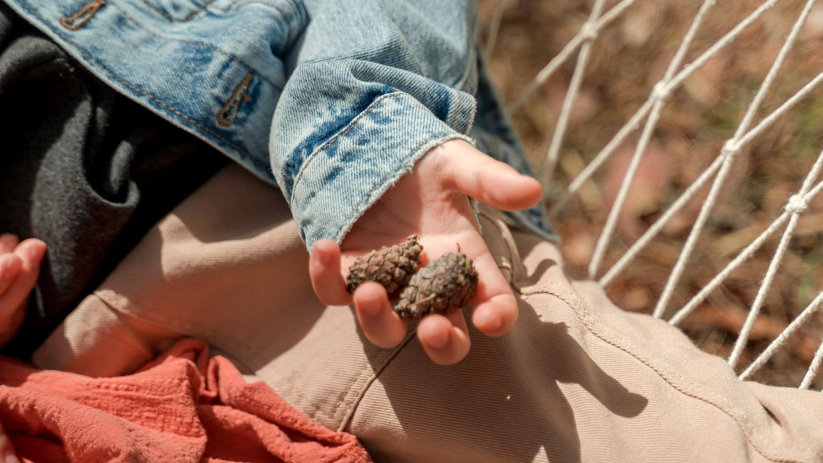 Ett barn håller två kottar i handen utomhus