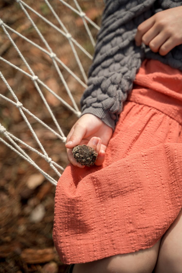 A Child Holding A Conifer Cone