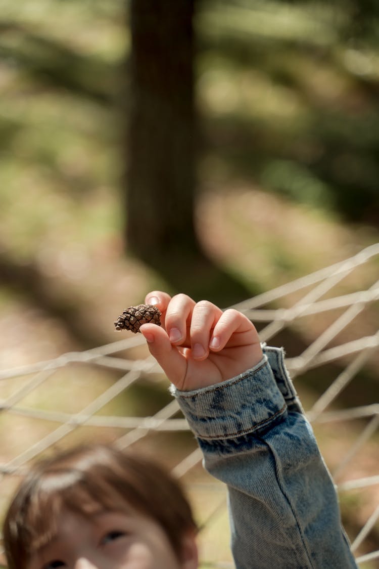 A Kid Holding A Spruce Cone