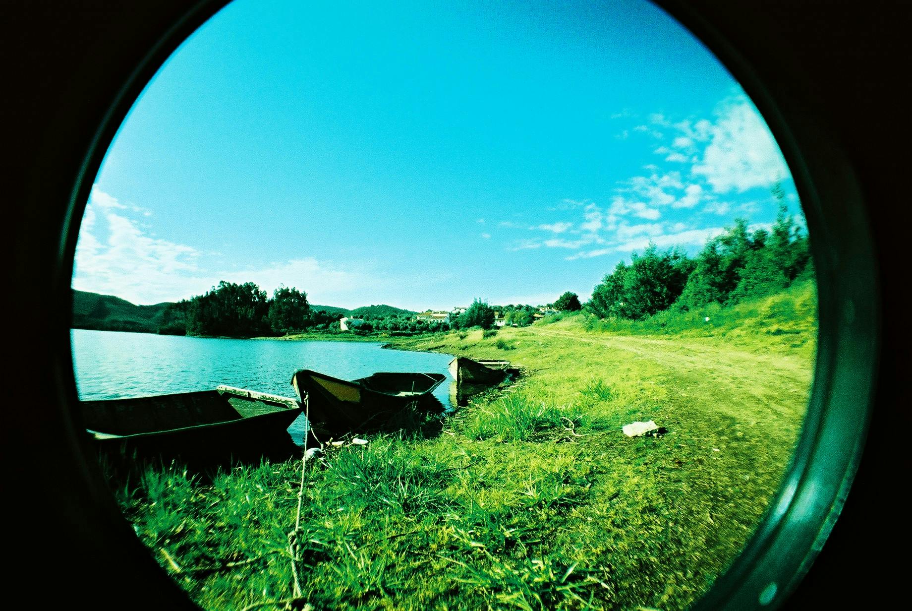 Lush lakeside landscape with boats moored on a sunny summer day.