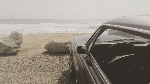 Δωρεάν στοκ φωτογραφιών με mustang, ακτή, άμμος