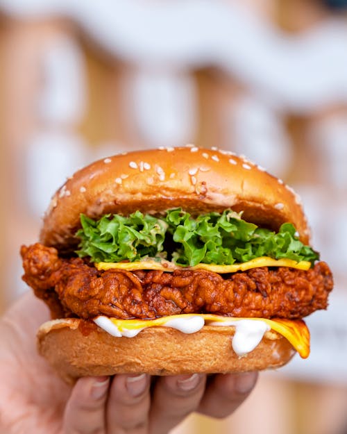 Free Close-up of a Chicken Sandwich Stock Photo