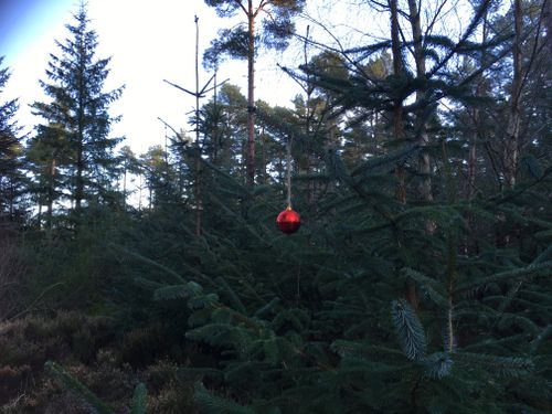 Free stock photo of christmas bauble Stock Photo