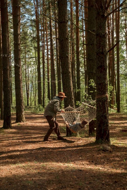 Free A man enjoys a peaceful moment in a hammock in a lush forest setting. Stock Photo