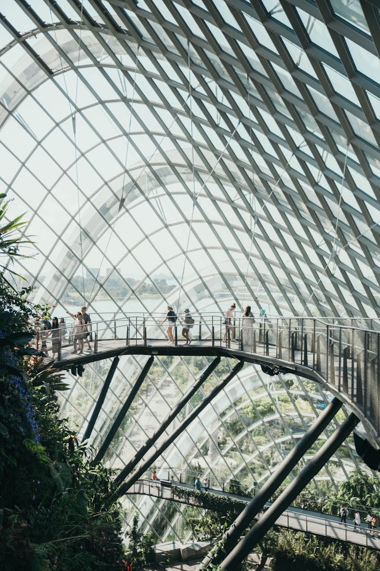 People Walking On A Footbridge In A Glass Building