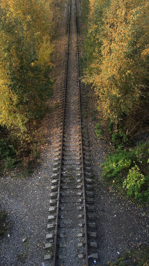 Drone Photography of Train Rail in the Forest