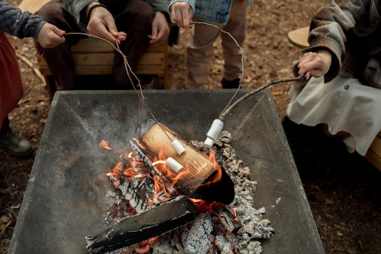 Grilling Marshmallows In A Fire Pit