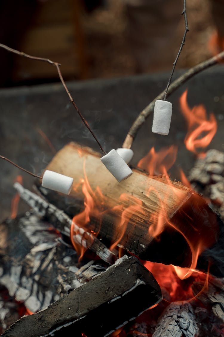 Cooking Marshmallows Over Burning Woods