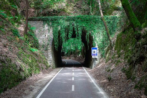 Gray Asphalt Road in Arched Tunnel