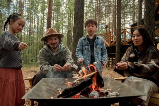 A Family Roasting Marshmallows Together