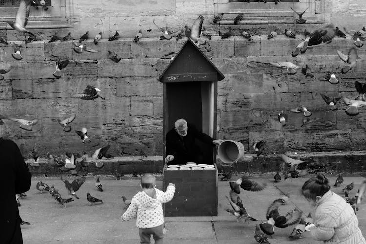 Man And Children Feeding Pigeons On A Sidewalk 