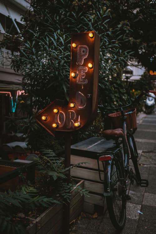 Imagine de stoc gratuită din arbore, bicicletă, caldarâm