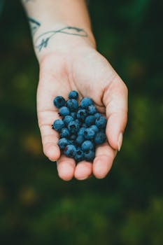 A close-up shot of a tattooed hand holding fresh blueberries, emphasizing organic and healthy eating.