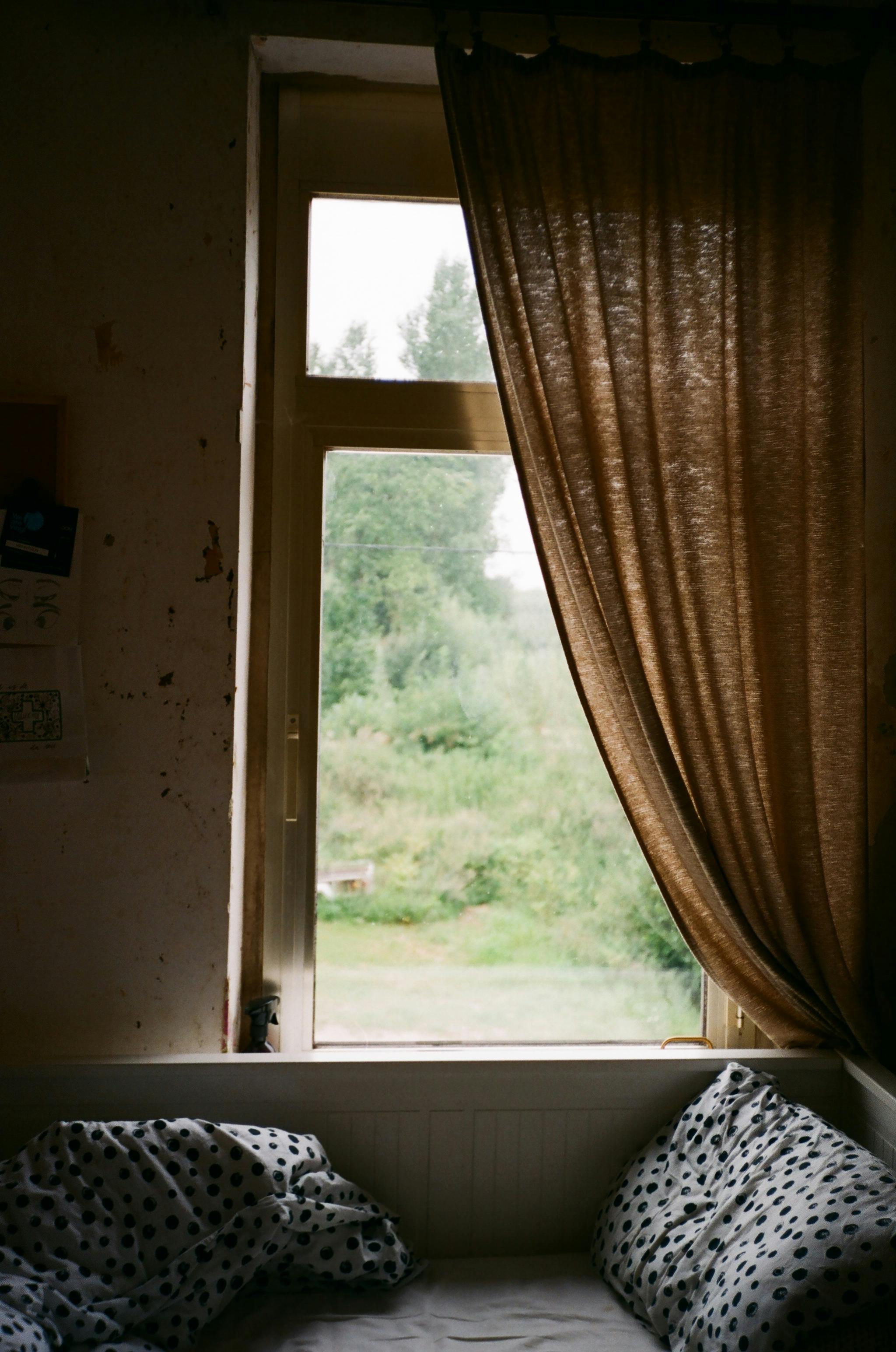Serene view from a cozy bedroom window with polka dot pillows and draped curtains.