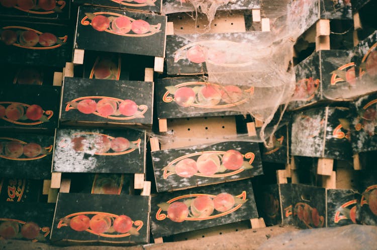 Old Fruit Boxes Covered In Spiderwebs