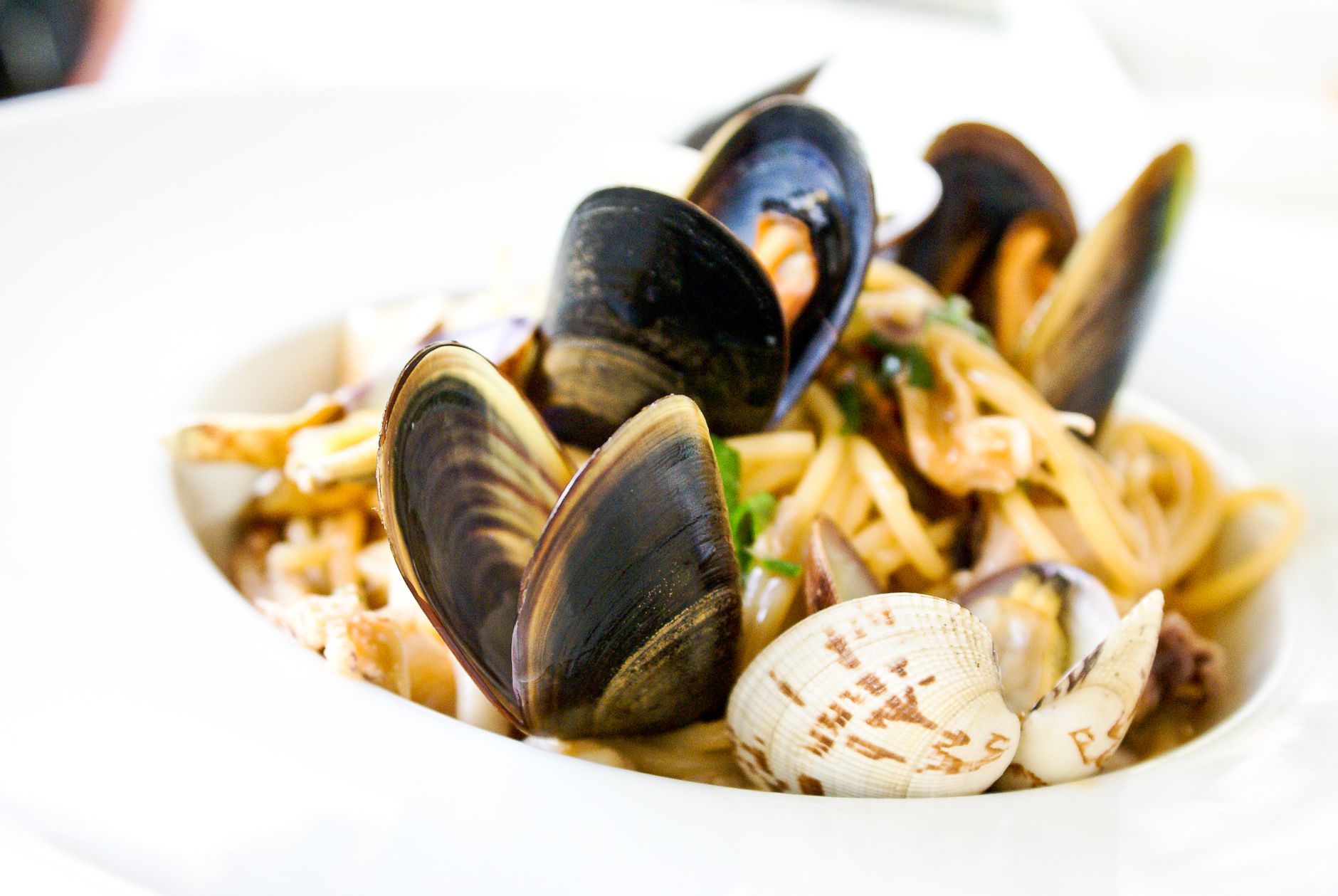 Closeup of clams and mussels shells on ice