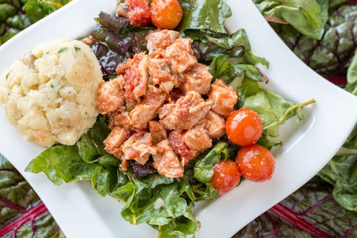 Free A Plate of Vegetable Salad with Chicken and Mashed Potato Stock Photo