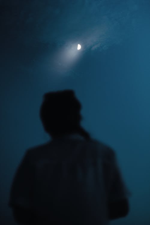 Free Back View of a Man Looking at the Moon Stock Photo