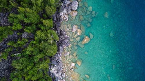 土耳其藍, 岩石, 岸邊 的 免費圖庫相片