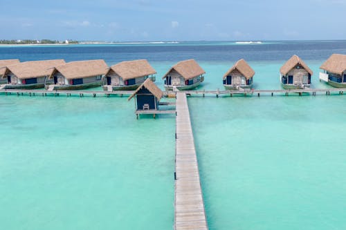 Brown Wooden Dock on Green Water