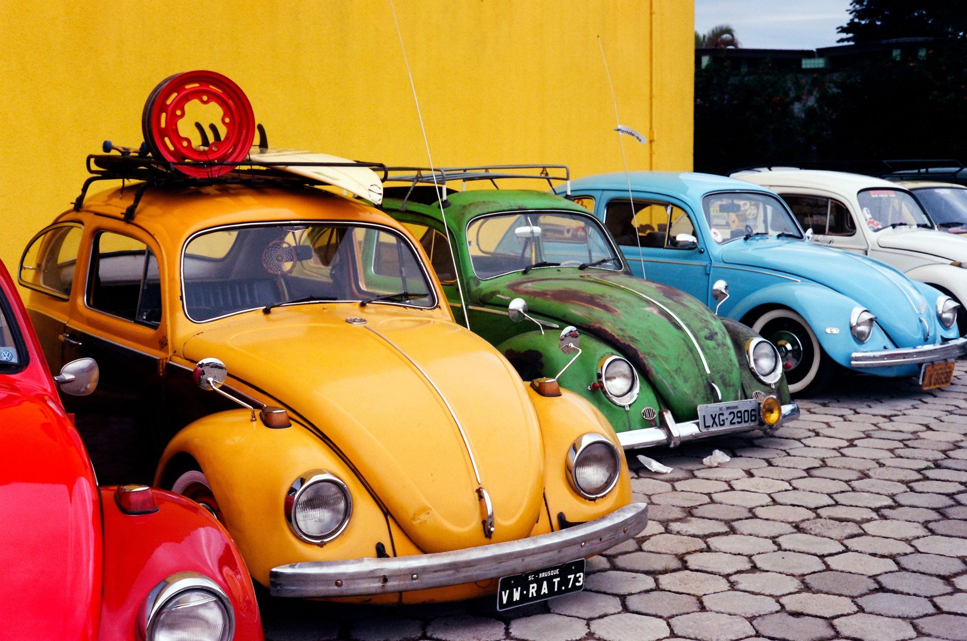 A vibrant row of classic Volkswagen Beetles parked against a yellow wall.