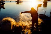 A Man Holding Fishing Net while Standing on Shore during Sunset
