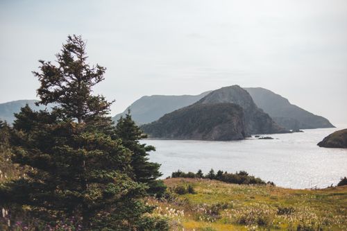 Free Tranquil scene featuring a mountainside coast with lush greenery and calm waters. Stock Photo