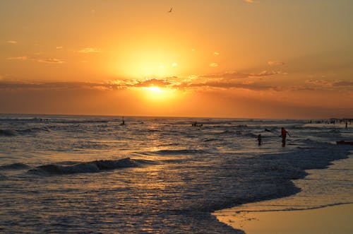 People Swimming in the Sea at Sunset 