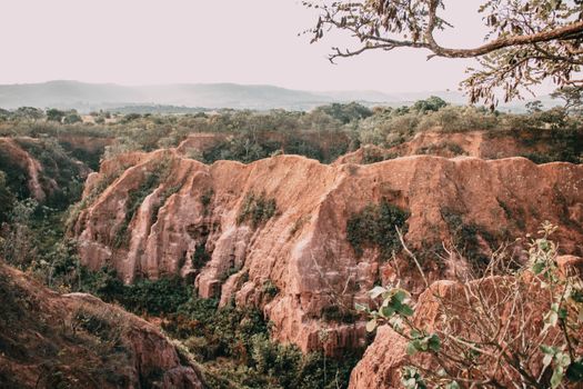 Explore this breathtaking landscape of an eroded canyon surrounded by lush greenery, captured in vibrant daylight.