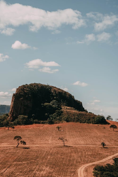 Rocky Mountain in the Middle of Field