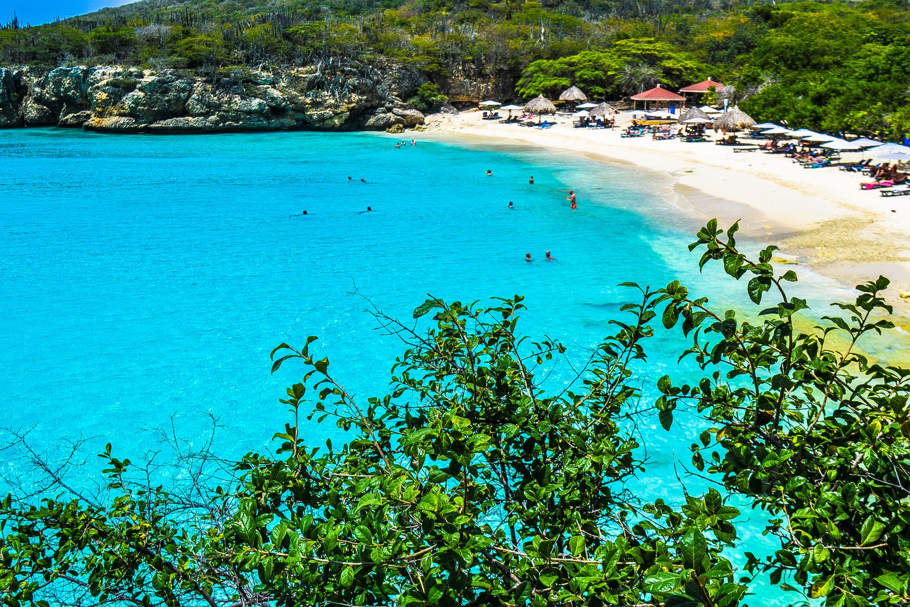 Clear Curaçao beach water beside a green stretch of island coastline