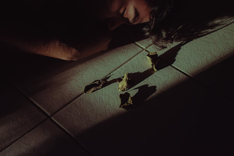 Person Sleeping Beside Dead Leaves