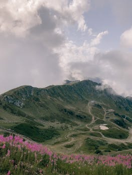 Picturesque view of green hills covered with green plants and pink flowers under cloudy light sky