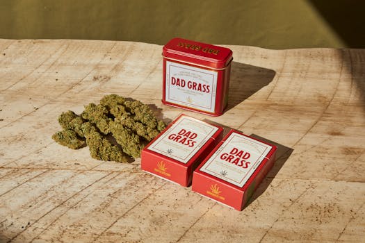 CBD e CBD: Alternativas Naturais para o Controle da Dor Crônica