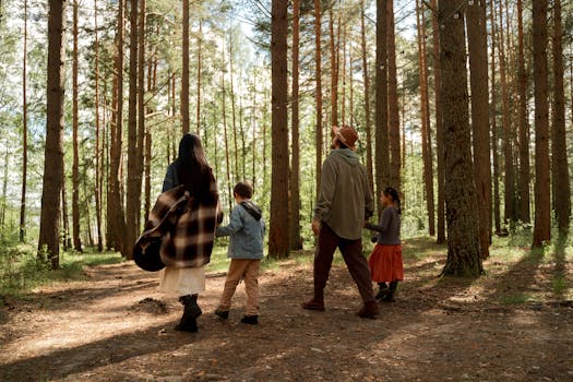 A family enjoys a peaceful walk through a sunlit forest, embracing nature and togetherness.