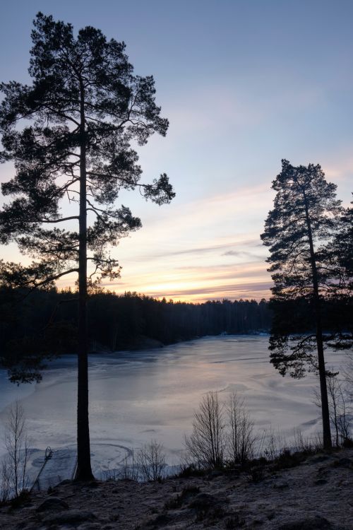 Free Beautiful tranquil scene of a frozen lake surrounded by trees at sunset in Oslo, Norway. Stock Photo
