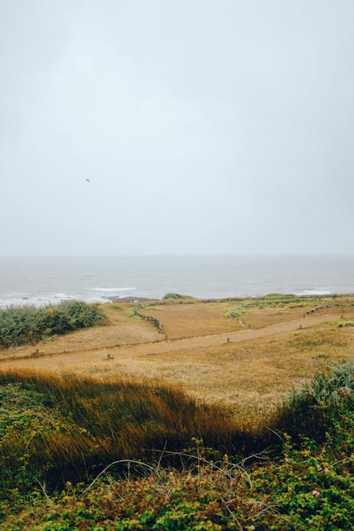 Sea and Coastline Landscape