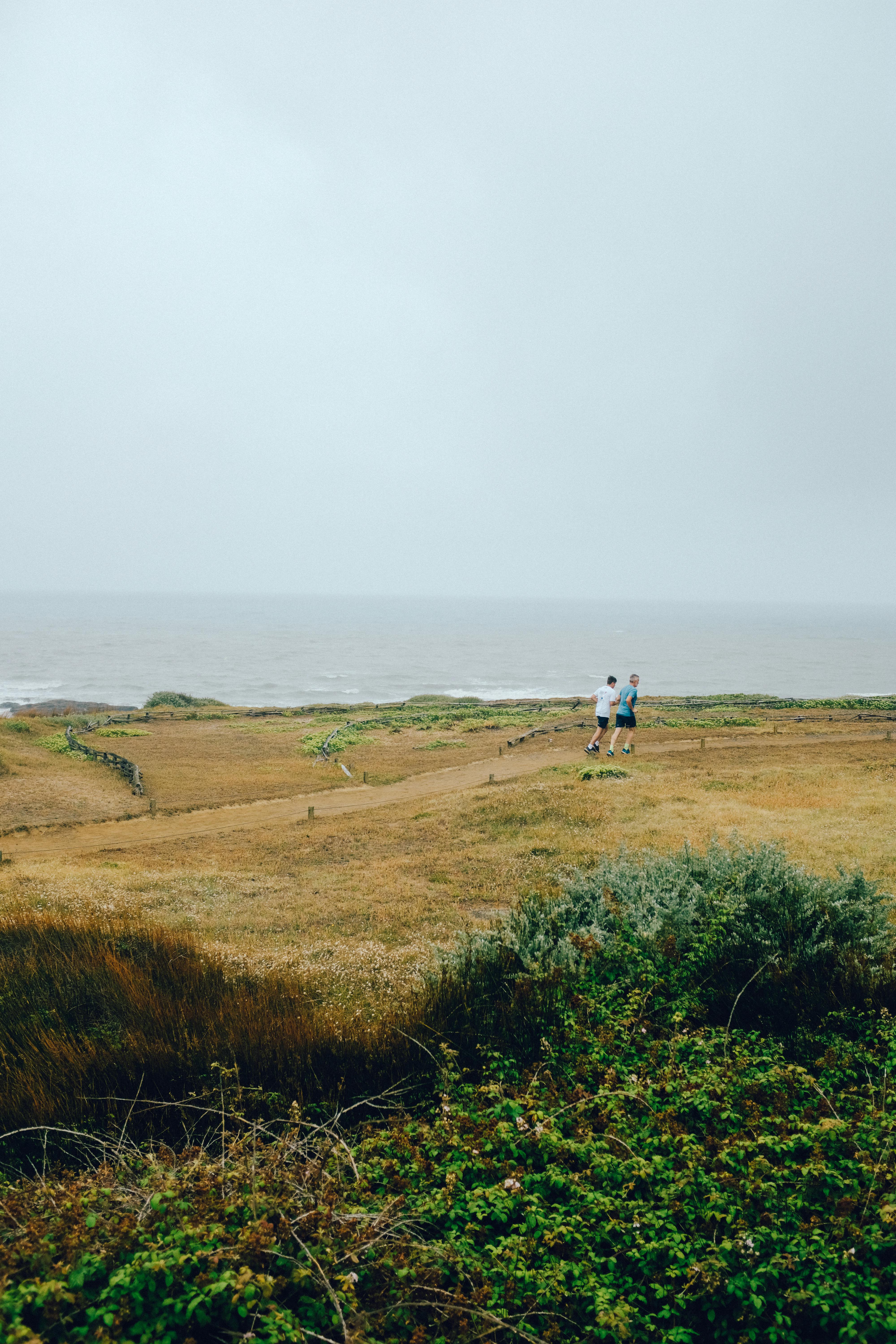 Two people run along a scenic coastline under a misty sky, capturing the essence of nature and outdoor activity.