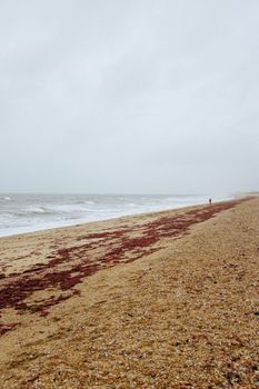 Empty beach with seaweed and wave patterns under overcast skies, evoking tranquility.