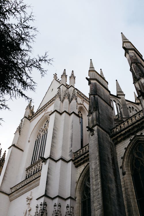 Fotos de stock gratuitas de arquitectura gótica, cargado, catedral