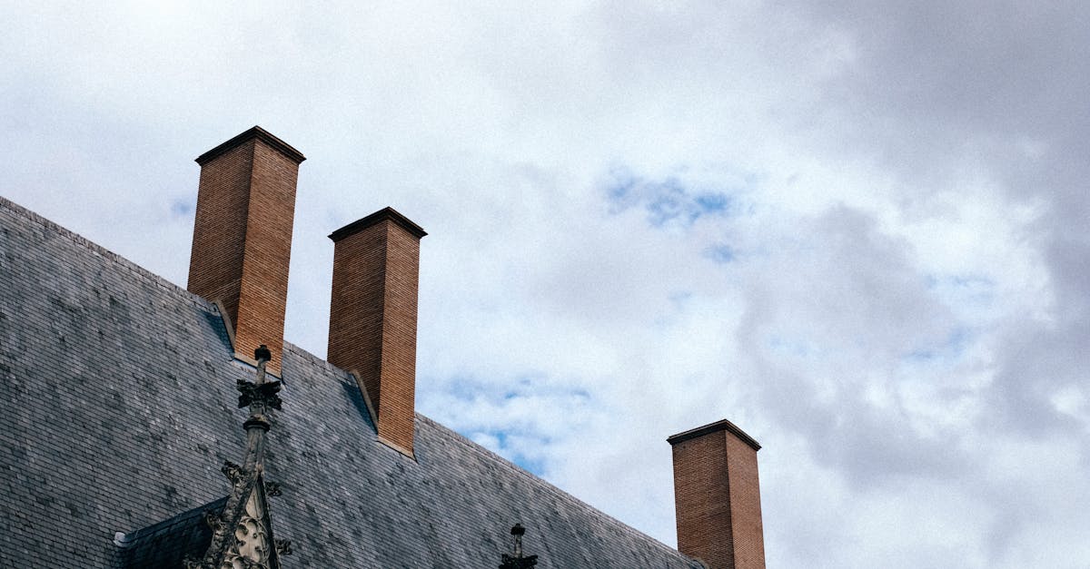 What does mold smell like in an old house