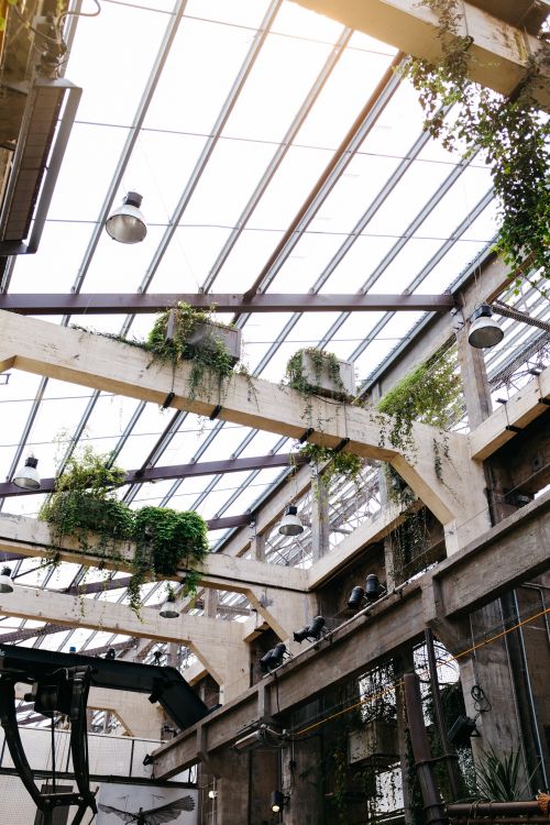 Free Industrial greenhouse with glass roof, plants, and ceiling beams creating an airy atmosphere. Stock Photo