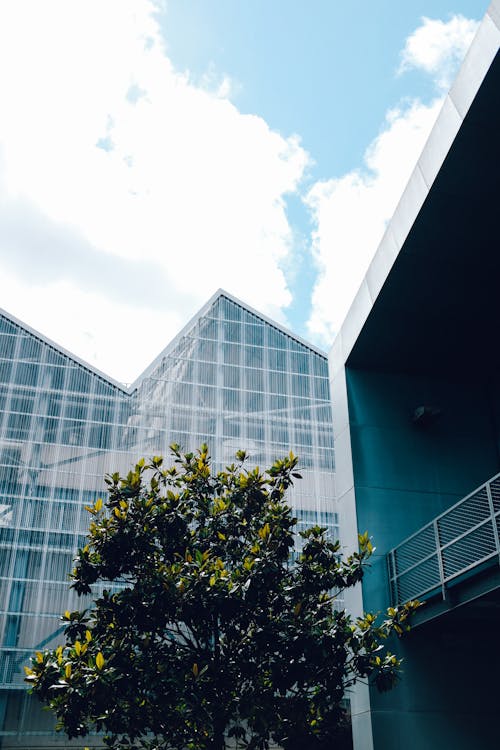 Fotos de stock gratuitas de arquitectura, cielo azul, edificio