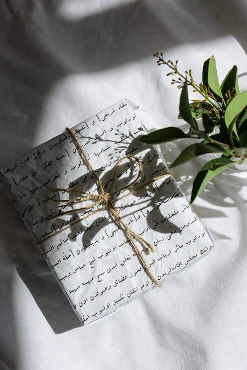 White Gift Box Beside a Plant