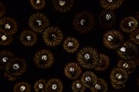 黑暗的房间里，设计复杂的吊灯投射出温暖的光芒，令人惊叹