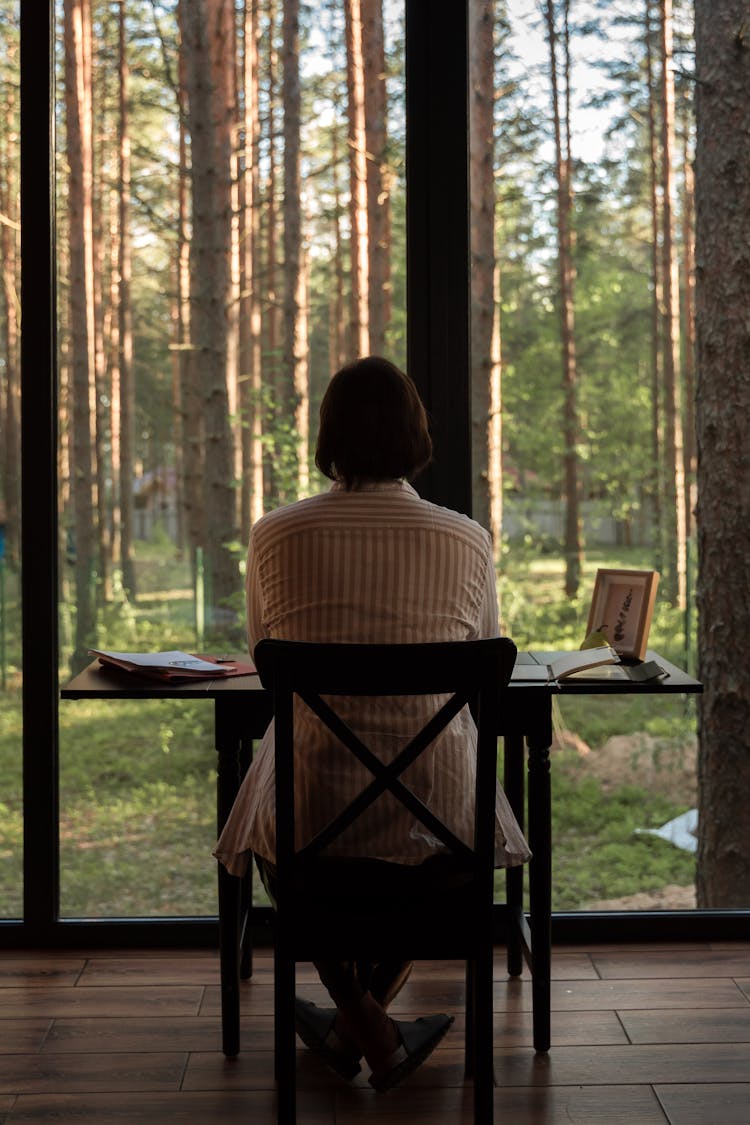 Back View Of A Man Sitting On The Chair