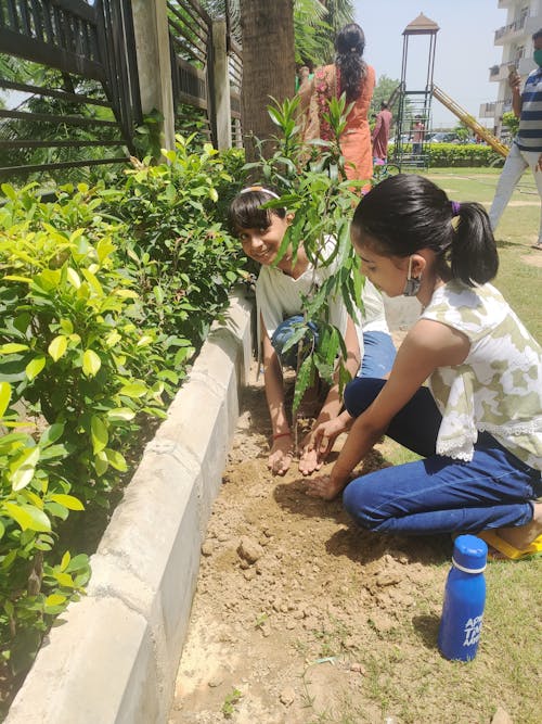 Gratis stockfoto met aziatische kinderen, bomen planten, donkergroene bladeren