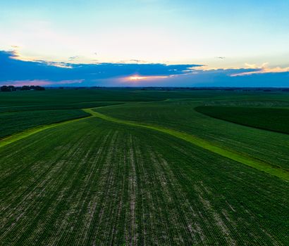 Drone captures expansive green farmland under the evening sky in Minnesota, USA.