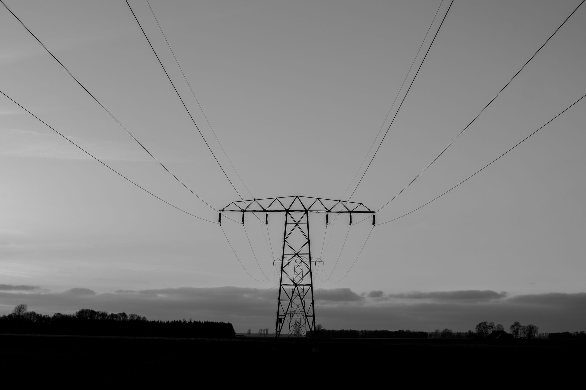 Black and white image of power lines stretching across a rural landscape at twilight.